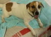 Buster
