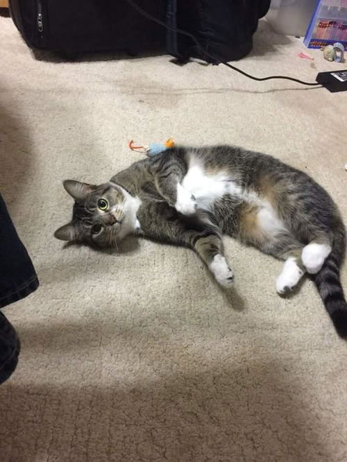 Nora