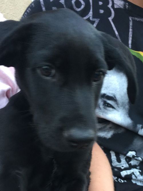 Tucker