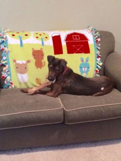 Oakley