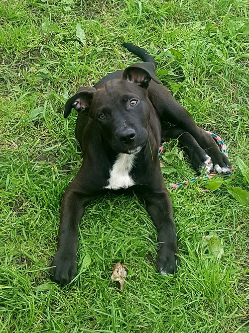 Billy