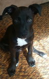 Billy