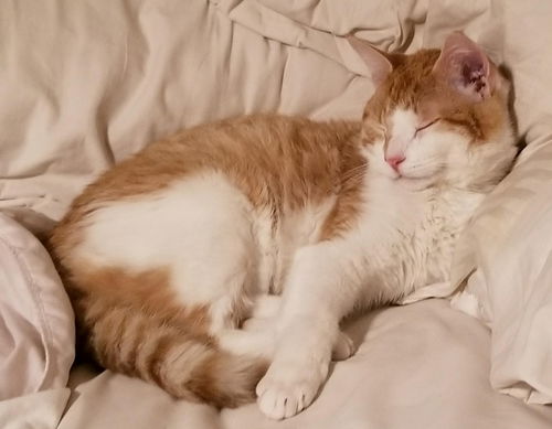 Sebastian