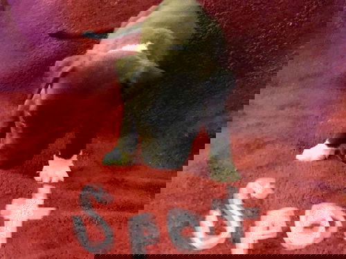 Spot