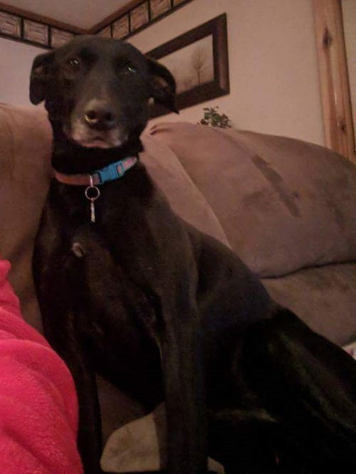 Sophie