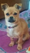 Bailey