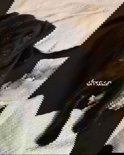 Grace