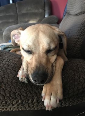 Ryder