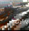 Jovi