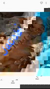 Jacobi
