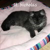 St. Nicholas