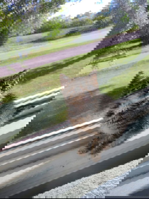 River
