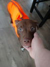 Flynn