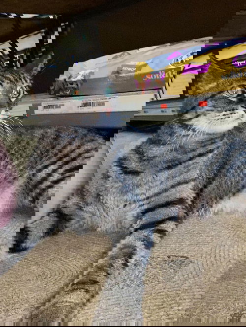 Marble