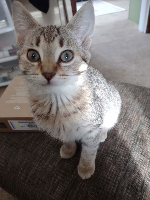 Margarita