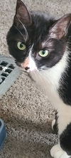 Betty