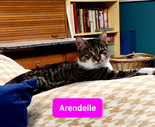 Arendelle