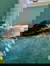 Kristof