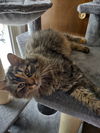 Thelma
