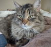 Thelma