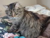 Thelma