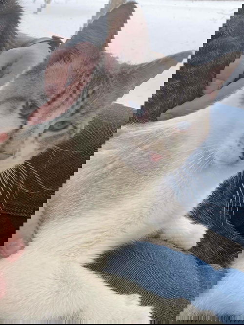 Sam
