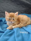 Henry