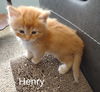 Henry