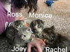 Ross