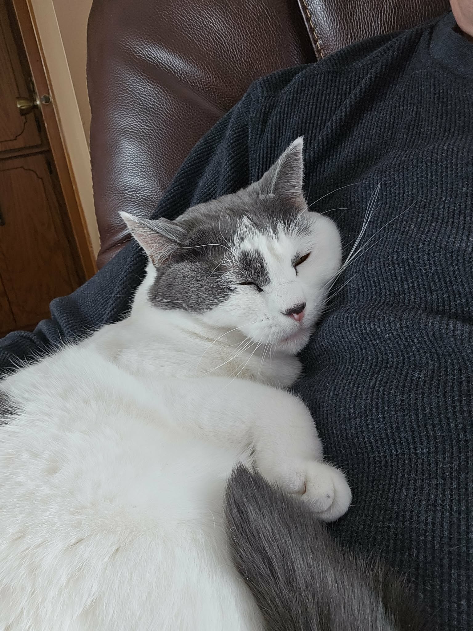 Smokey