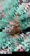 Ginger