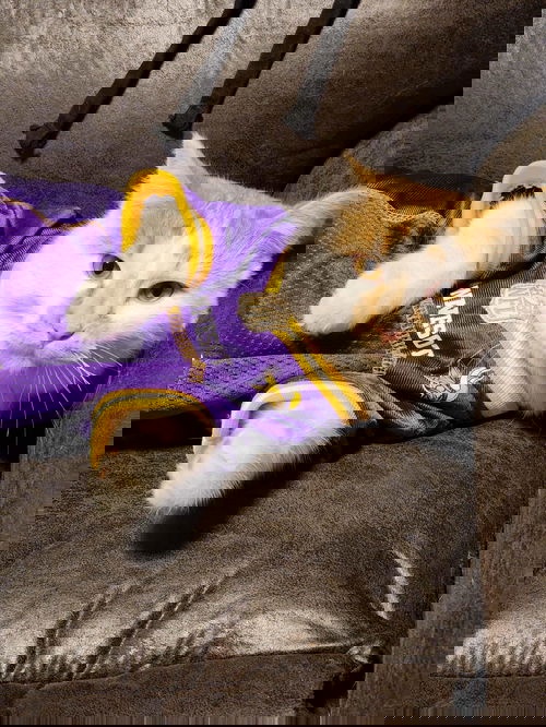 Kirk