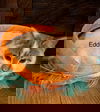 Eddie