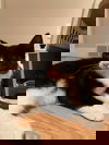 Bo
