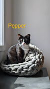 Pepper