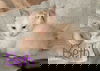 Beth