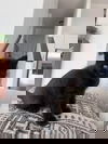 Karma