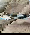 Letty