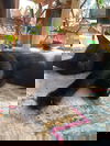 Twyla