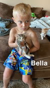Bella