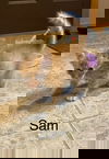 Sam