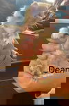 Dean
