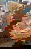 Castiel
