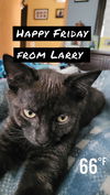 Larry