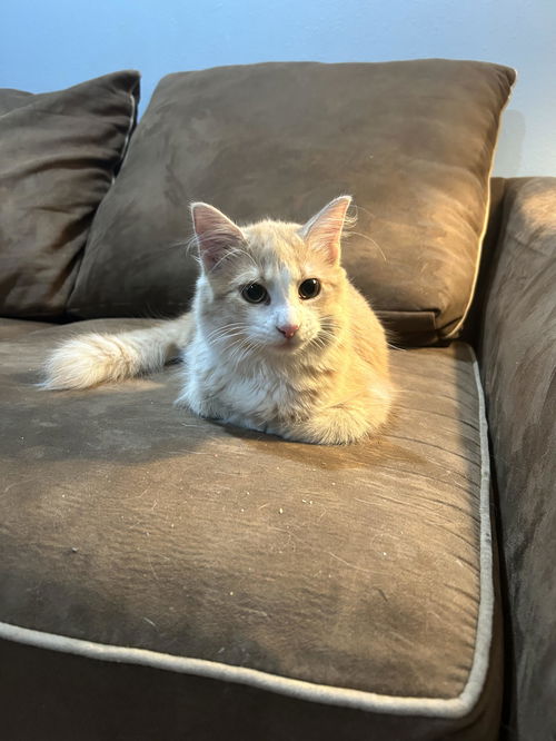 Maggie