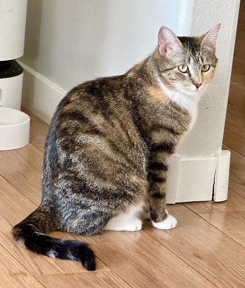Lily