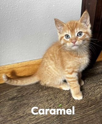Caramel