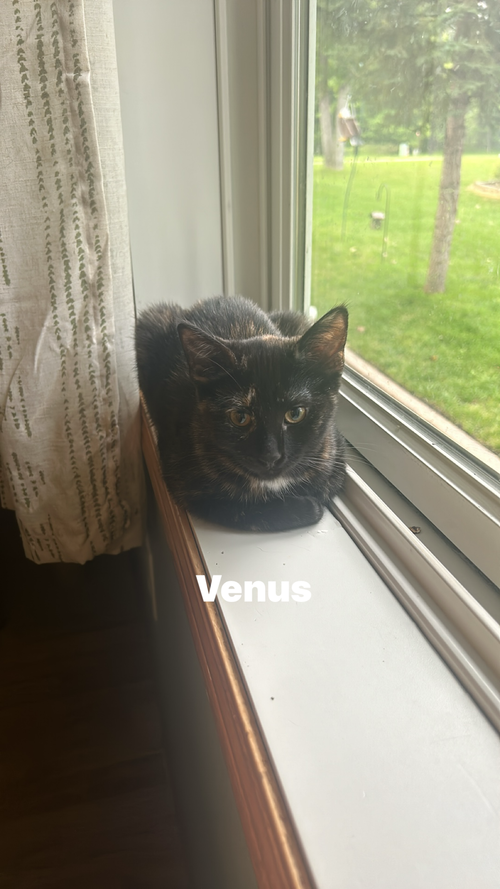 Venus