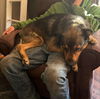 Buddy
