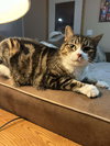 Tinker - Photo 1